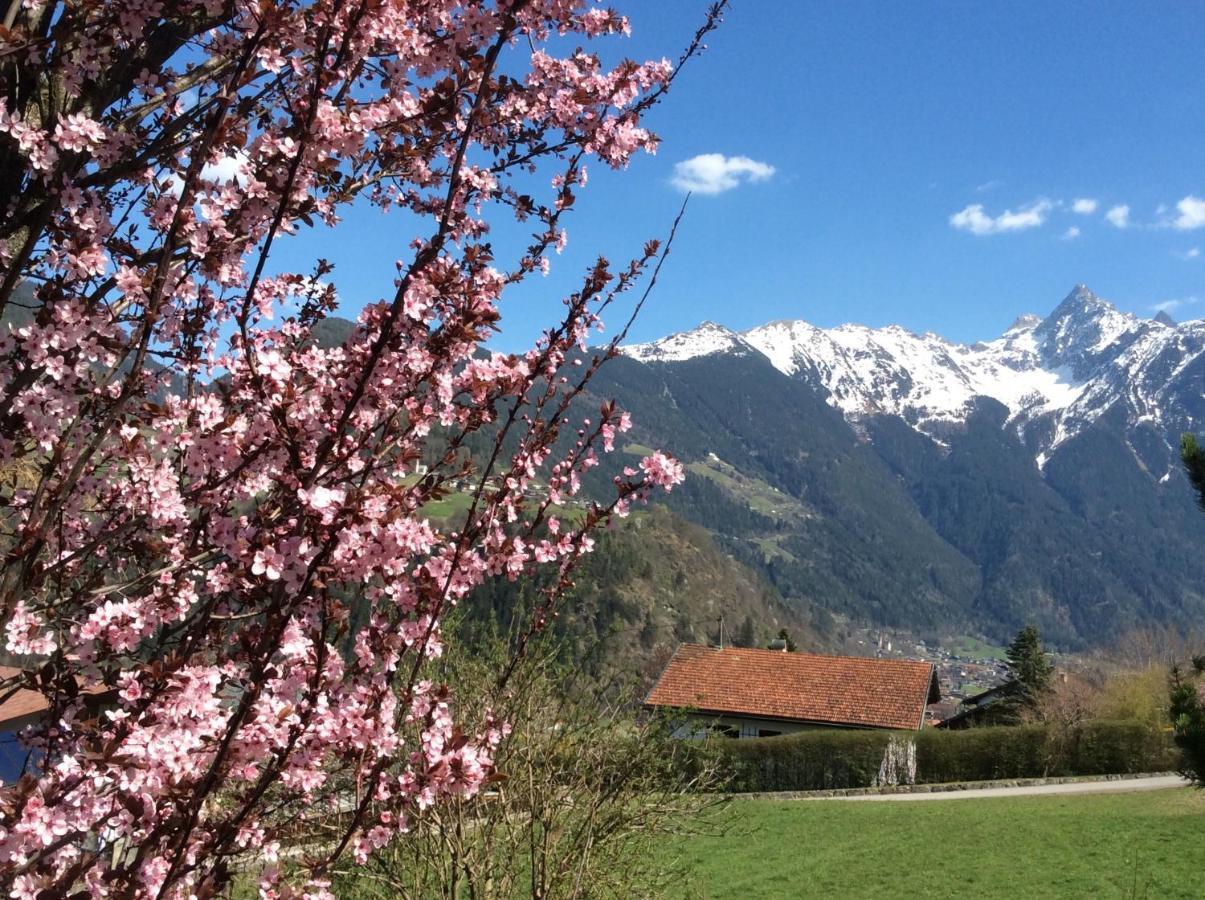 Comfortable Apartment In A Beautiful Surrounding Sautens Kültér fotó